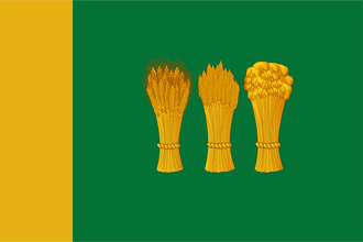 Флаг города Пензы